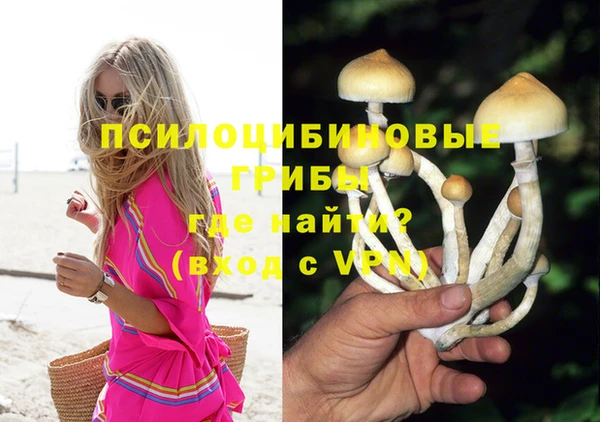 не бодяженный Армянск