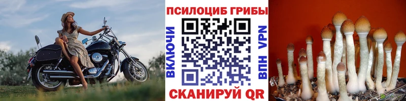 Псилоцибиновые грибы ЛСД  Волжский 