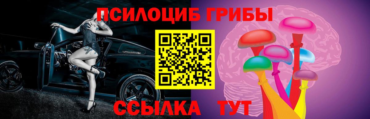Галлюциногенные грибы Cubensis  Галлюциногенные грибы прущие грибы  купить  цена  Волжский  Вход с VPN 